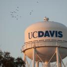 top of the uc davis water tower